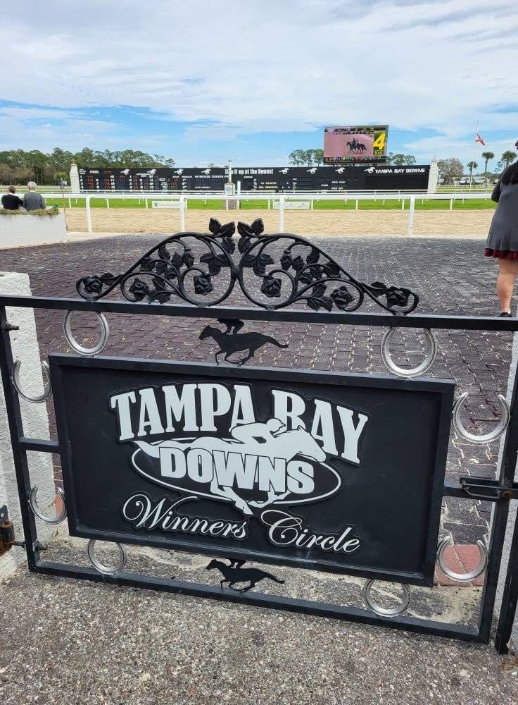 A Day at the Races with the Flamazing Flamingoes!